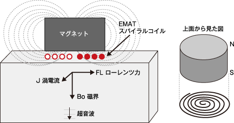 横波発生用EMATセンサー構成 